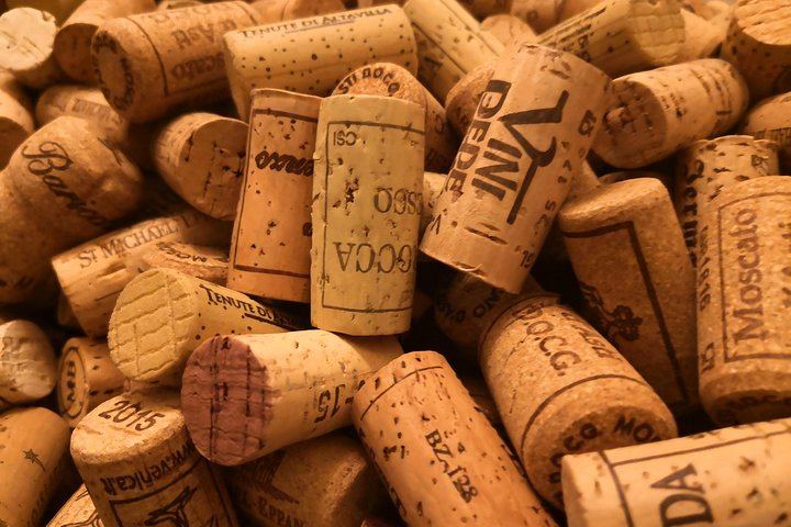 Italian wines and their history.