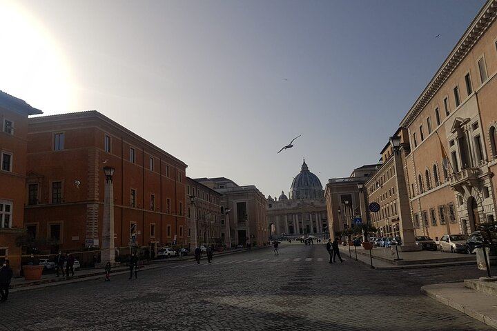 Rome Baroque: Fountains and Squares Private Walking Tour