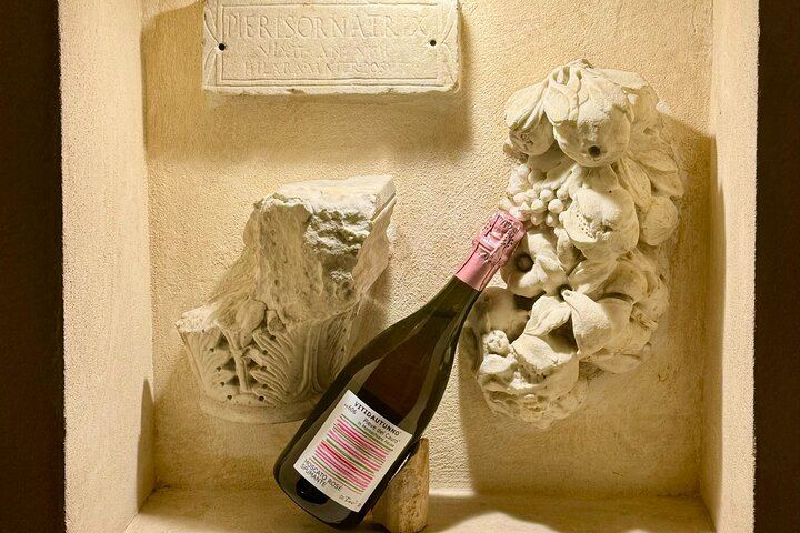 Rome Lunch Food Tasting with Wine Pairing Experience Trastevere