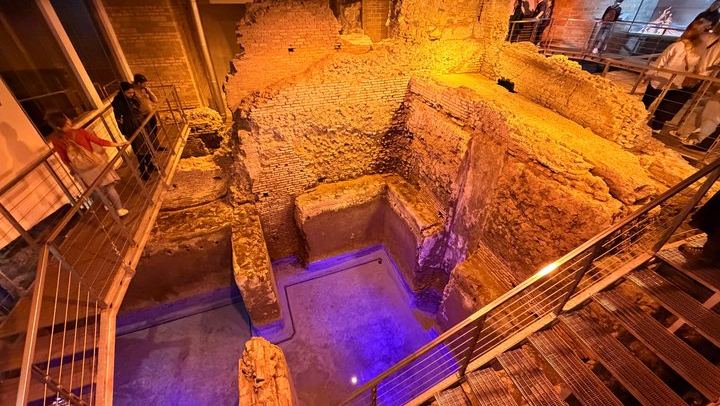 Rome: Trevi Fountain & Vicus Caprarius City of Water Tour