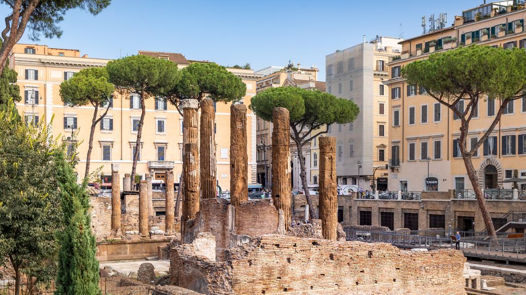 Columns and brick podia of the Area Sacra di Largo Argentina below the modern street level