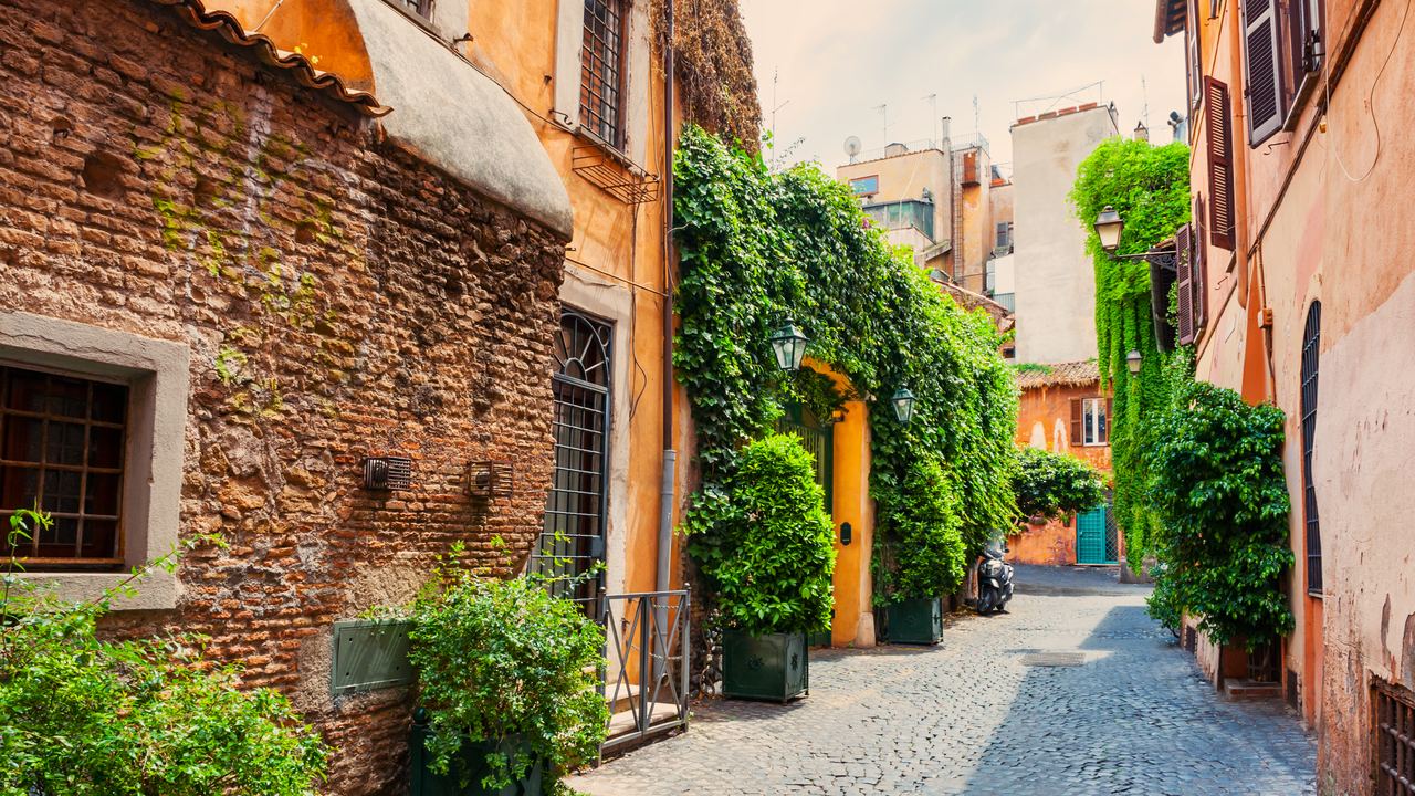 A lane in Trastevere with ivy over the brick and plant pots along the ground