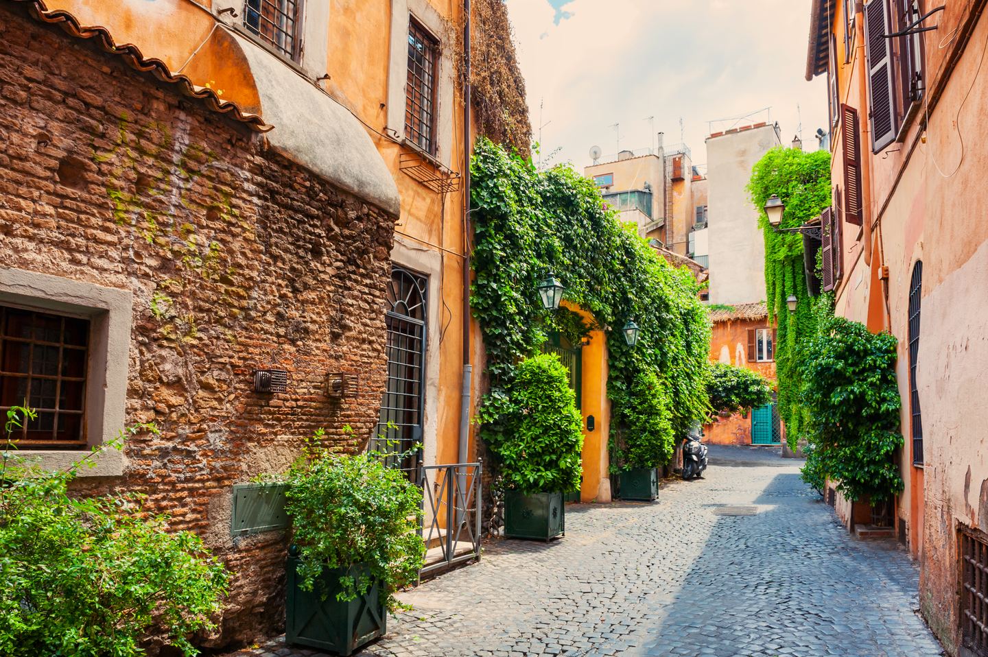 A lane in Trastevere with ivy over the brick and plant pots along the ground