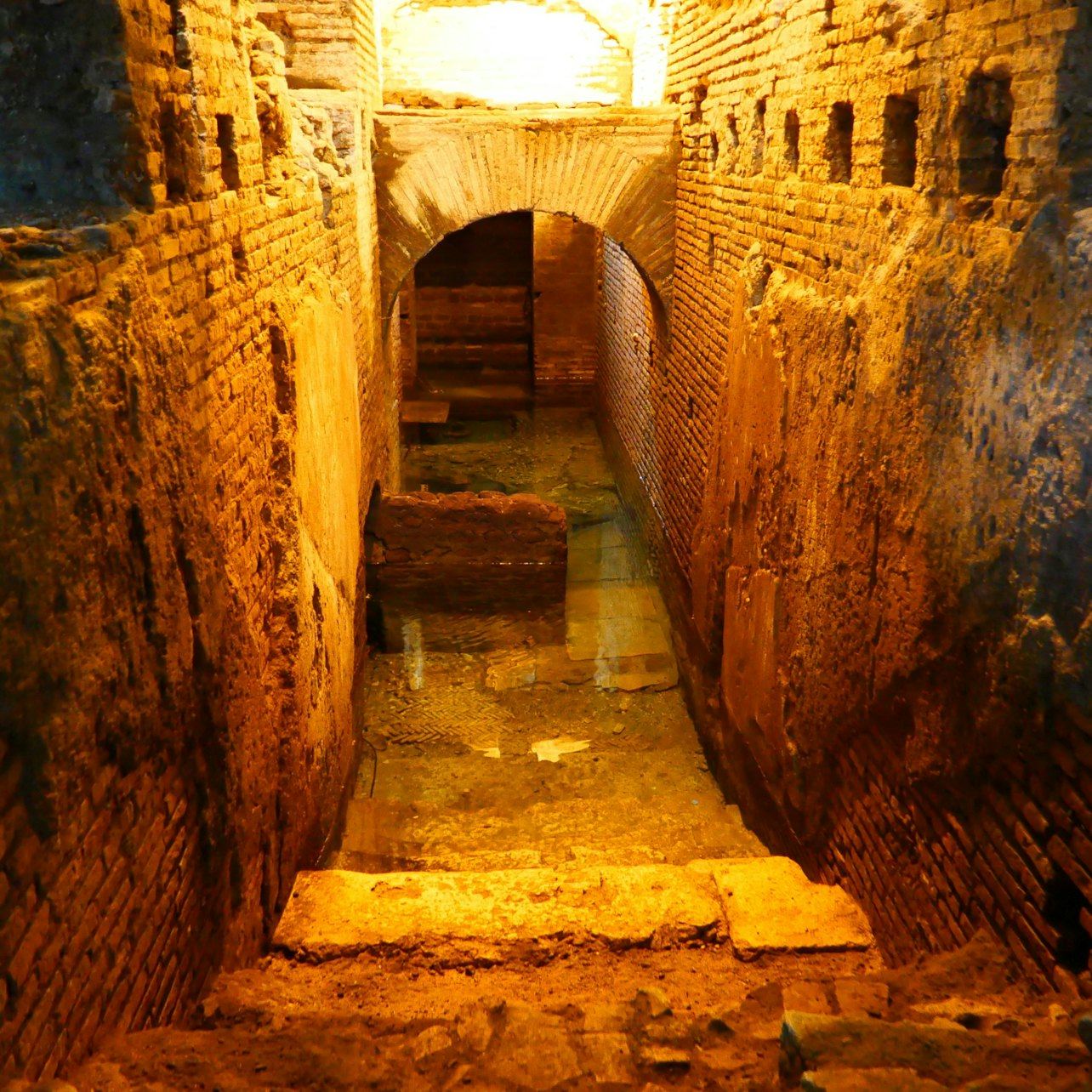 Forty Minutes at the Trevi Fountain and the Domus Below It