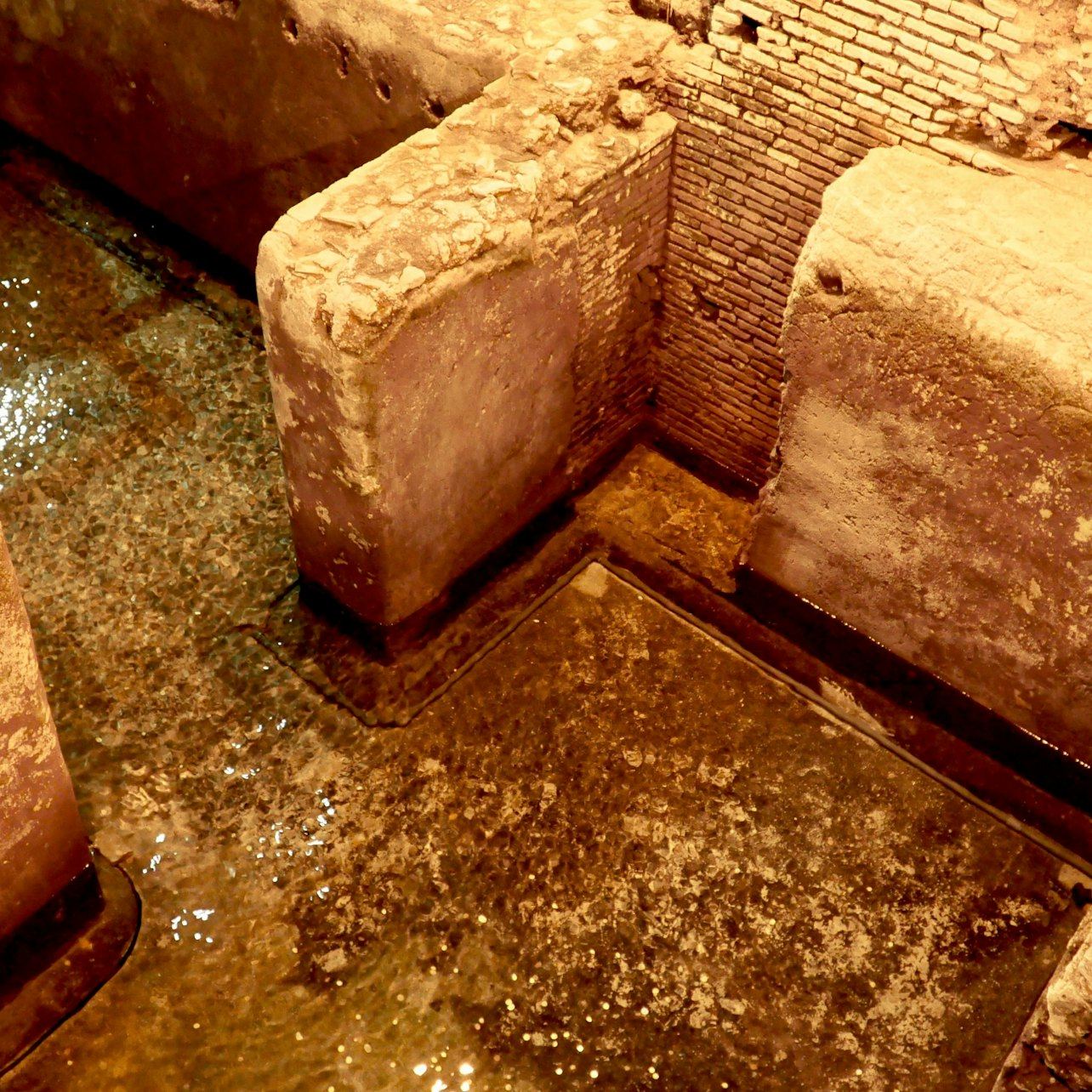 Forty Minutes at the Trevi Fountain and the Domus Below It