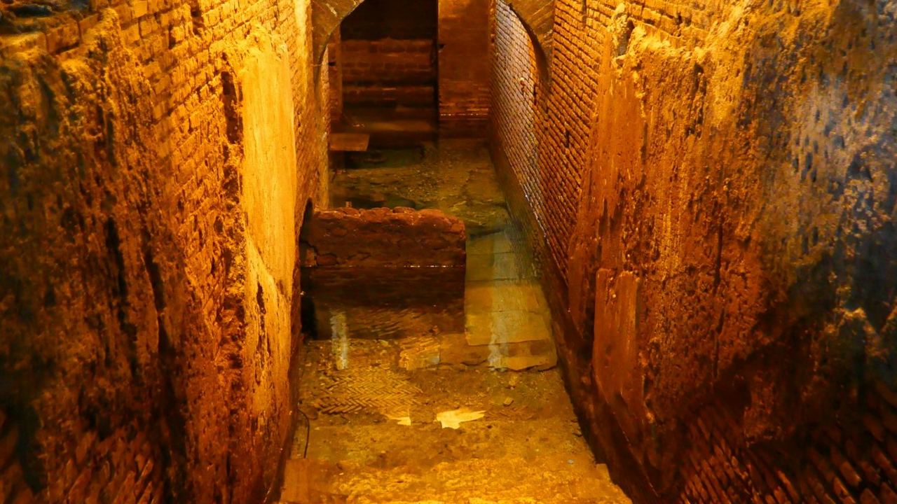 Forty Minutes at the Trevi Fountain and the Domus Below It